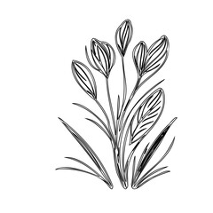 Elegant floral outline drawing: a subtle artistic touch for your project