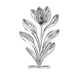 Elegant monochrome floral illustration evoking springtime freshness and growth
