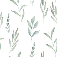Obraz premium Watercolor seamless pattern. Organic herbal print with eucalyptus branches. Greenery hand drawn illustration on white background.