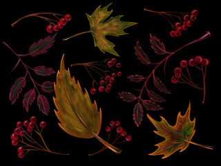 autumn leaves background