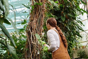 Beautiful young woman tending to plants in a vibrant greenhouse filled with lush greenery