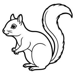Minimalist Squirrel Line Art Vector