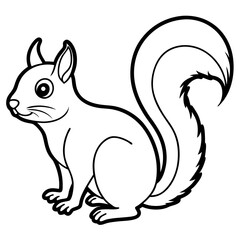 Minimalist Squirrel Line Art Vector