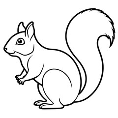 Minimalist Squirrel Line Art Vector