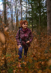 Photographer walking through forest undergrowth