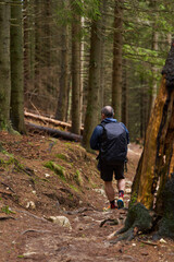Naklejka premium Man descending a forest trail in hiking gear