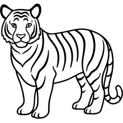 Minimalist Tiger Line Art