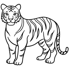 Minimalist Tiger Line Art
