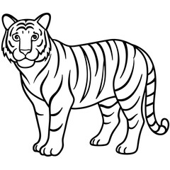 Minimalist Tiger Line Art