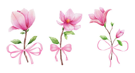 Watercolor magnolia with coquette bow. Hand drawn pink flower for greeting cards, invitations. Botanical hand painted illustrations set