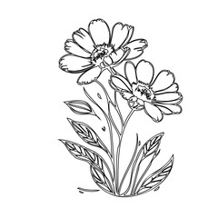 Elegant floral outline illustration depicting blossoming blooms and leafy stems