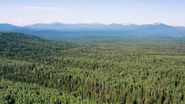 Southern Urals, Zyuratkul National Park: taiga at the foot of the Zyuratkul Ridge. Aerial view.