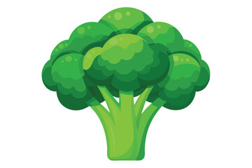 broccoli vegetable icon ,Fresh green broccoli vector illustration.