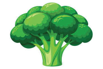 broccoli vegetable icon ,Fresh green broccoli vector illustration.
