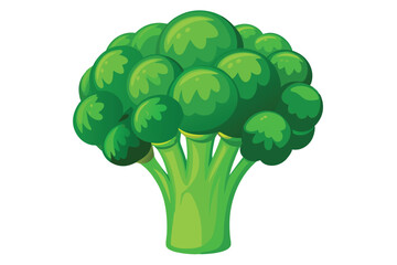 broccoli vegetable icon ,Fresh green broccoli vector illustration.