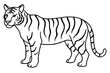 Minimalist Tiger Vector