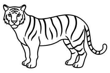 Minimalist Tiger Vector