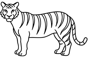 Minimalist Tiger Vector