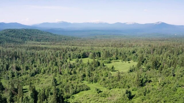 Southern Urals, Zyuratkul National Park: taiga at the foot of the Zyuratkul Ridge. Aerial view.