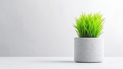 A small vibrant green potted plant in a minimalist grey concrete pot on a white surface against a light background.