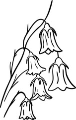 Flower bells vector illustration isolated on white background. 