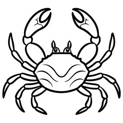 Modern Crab Illustration