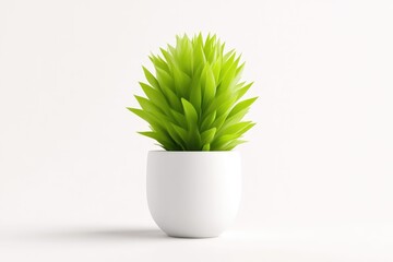 Small vibrant green spiky succulent plant in a minimalist white pot on a clean white background.