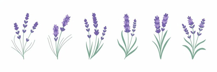 Naklejka premium Set of stylized lavender sprigs