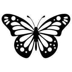 butterfly on white background