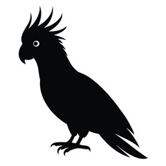 vector illustration of a bird