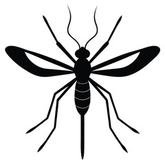 dragonfly vector illustration
