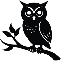 owl sitting on branch