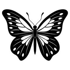 black butterfly vector illustration