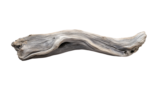 Gray Driftwood Piece Isolated on White Background - Professional Stock Photo