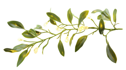 Festive Mistletoe Branch with LED Lights Isolated on White Background