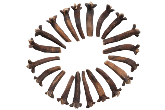 Clove buds arranged in a circular pattern with varying shades of brown on a white background