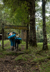 man and woman walking in the woods