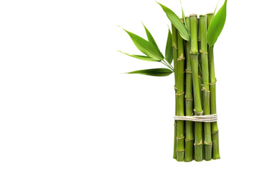 Fototapeta premium Green bamboo stalks bundle PNG, tropical plant stems isolated on white, natural spa zen decor botanical element
