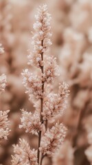 A close up of  pink flowers