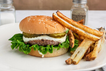 hamburger  served with french fries
