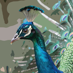 Captivating close-up of a proud and regal peacock displaying its feathers. 
