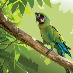 Cool Parrot with sunglasses