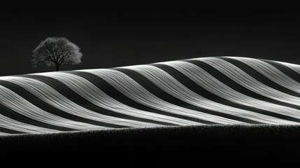 Solitary Tree on Undulating Monochrome Fields