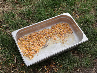 nourriture pour animaux