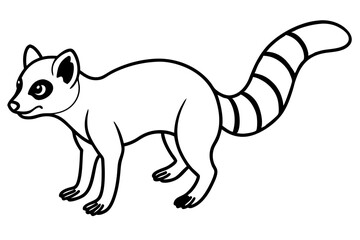 Modern Ringtail Sketch