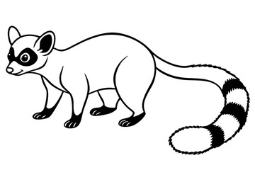 Modern Ringtail Sketch
