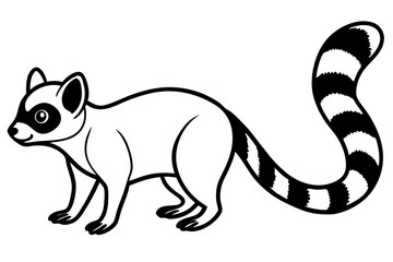 Modern Ringtail Sketch