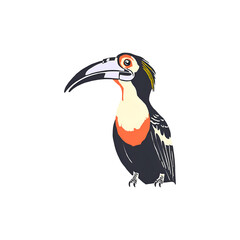 Watercolor toucan isolated on white background