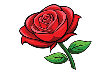 Illustration of Red rose isolated on white.