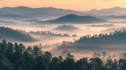 Misty landscape showcases layered mountains and evergreen trees below the sky